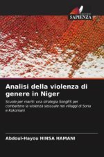 Analisi della violenza di genere in Niger