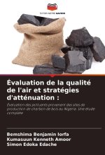 Évaluation de la qualité de l'air et stratégies d'atténuation :