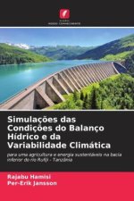 Simulações das Condições do Balanço Hídrico e da Variabilidade Climática