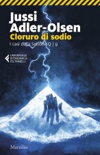 Cloruro di sodio. I casi della sezione Q