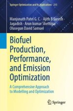 Biofuel Production, Performance and Emission Optimization: Statistical and Artificial Intelligence Tools