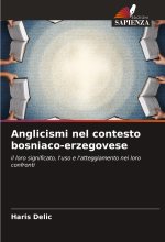 Anglicismi nel contesto bosniaco-erzegovese