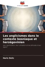 Les anglicismes dans le contexte bosniaque et herzégovinien