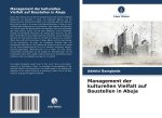 Management der kulturellen Vielfalt auf Baustellen in Abuja