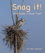 Snag It