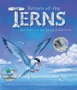 Return of the Terns