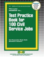 Test Practice Book for 100 Civil Service Jobs
