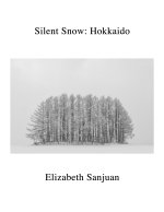 Silent Snow