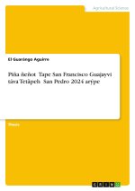 Pi?a ?e?ot? Tape San Francisco Guajayvi táva Tet?peh? San Pedro 2024 arýpe
