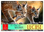 Luchse - die Stimme der Wildnis (Tischkalender 2026 DIN A5 quer), CALVENDO Monatskalender