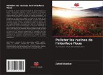Pelleter les racines de l'interface floue