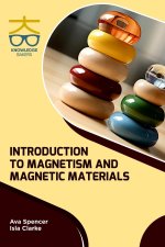 Introduction to Magnetism and Magnetic Materials