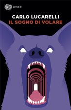 sogno di volare