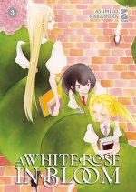 white rose in bloom