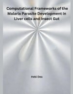 Computational Frameworks of the Malaria Parasite  Development in Liver cells and Insect Gut