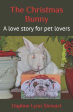 The Christmas Bunny