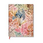 Carnets Flexis William Kilburn Anemone Mini LIG. 208pg.