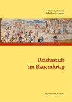 Reichsstadt im Bauernkrieg