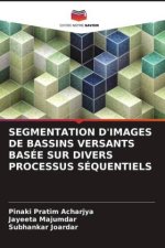 SEGMENTATION D'IMAGES DE BASSINS VERSANTS BASÉE SUR DIVERS PROCESSUS SÉQUENTIELS