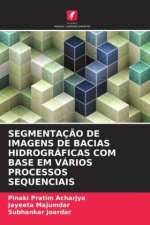 SEGMENTAÇÃO DE IMAGENS DE BACIAS HIDROGRÁFICAS COM BASE EM VÁRIOS PROCESSOS SEQUENCIAIS