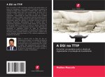 A DSI na TTIP