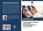 Umweltauswirkungen einer roten Keramikindustrie in Barcelona/RN