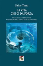 vita che ci dà forza. Una raccolta di racconti e una ricerca sui «generatori» di umorismo