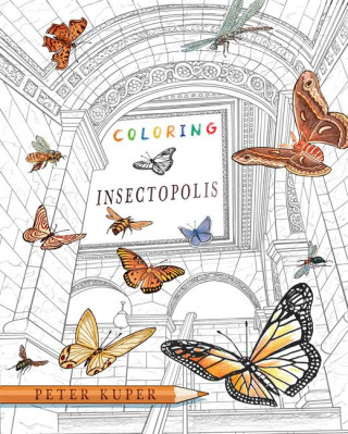 COLORING INSECTOPOLIS