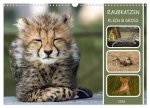 Raubkatzen - groß & klein (Wandkalender 2026 DIN A3 quer), CALVENDO Monatskalender