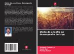 Efeito do enxofre no desempenho do trigo