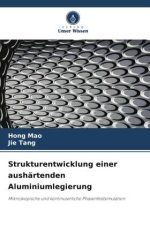 Strukturentwicklung einer aushärtenden Aluminiumlegierung