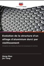 Evolution de la structure d'un alliage d'aluminium durci par vieillissement