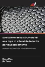 Evoluzione della struttura di una lega di alluminio indurita per invecchiamento