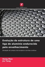 Evolução da estrutura de uma liga de alumínio endurecida pelo envelhecimento