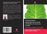 Comportamento agroproductivo de duas variedades de Couve em Cuvelai