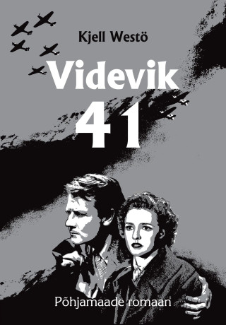 Videvik 41