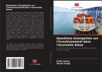 Questions émergentes sur l'investissement dans l'économie bleue