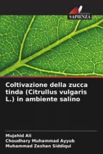 Coltivazione della zucca tinda (Citrullus vulgaris L.) in ambiente salino