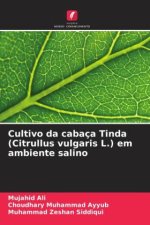Cultivo da cabaça Tinda (Citrullus vulgaris L.) em ambiente salino