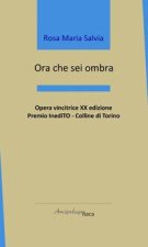 Ora che sei ombra