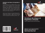 Struttura dei bilanci di Argentina e Brasile