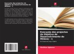 Execução dos projectos do Objetivo de Desenvolvimento do Milénio - 1