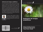 Quitosano de hongos endofíticos