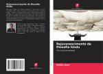 Rejuvenescimento da filosofia hindu