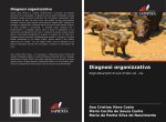 Diagnosi organizzativa