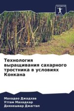Tehnologiq wyraschiwaniq saharnogo trostnika w uslowiqh Konkana