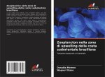 Zooplancton nella zona di upwelling della costa sudorientale brasiliana