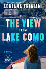 The View from Lake Como