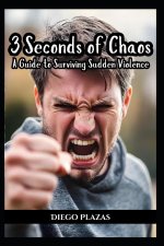 3 Seconds of Chaos