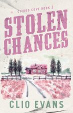 Stolen Chances